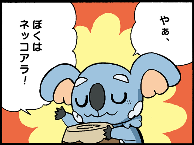 ネッコアラ ポケモンだいすきクラブ