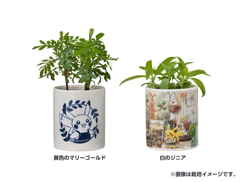 くさタイプのポケモンたちをメインに描いたガーデニングがテーマのグッズ Pokemon Grassy Gardening がポケモンセンターに登場 5 15 土 発売 ポケモンだいすきクラブ