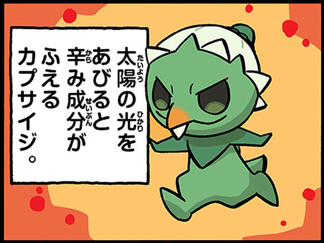 ポケモンだいすきクラブ
