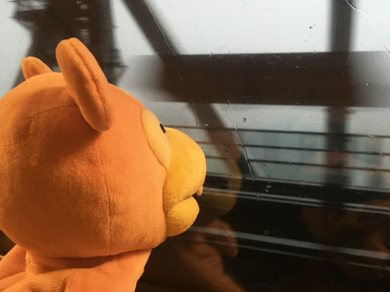 うどん県×ヤドン「ヤドンパラダイス in 香川」の裏話 その2