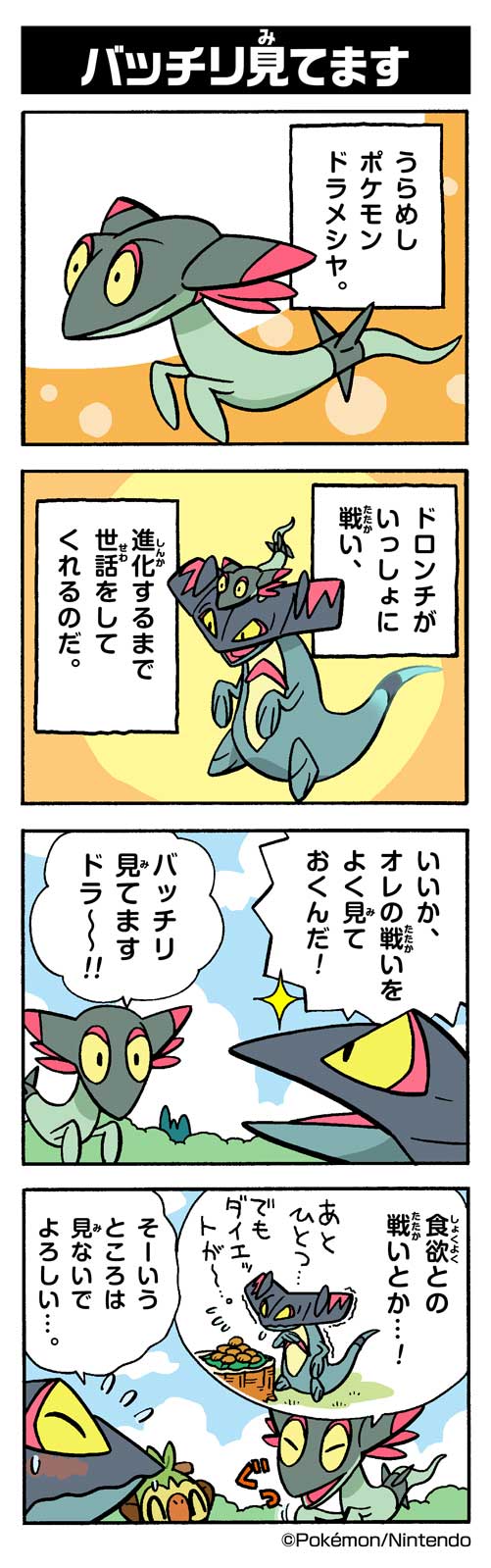 バッチリ見てます ドラメシヤ ポケモンだいすきクラブ