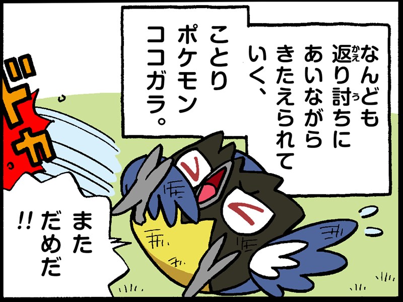 ココガラ ポケモンだいすきクラブ