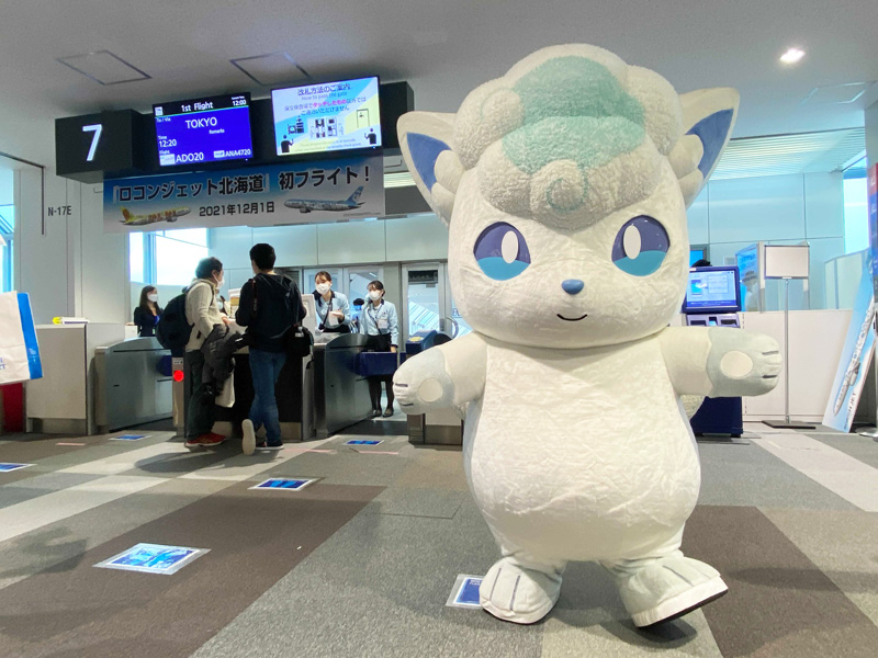 ロコンジェット北海道 がついに就航開始 ポケモンだいすきクラブ