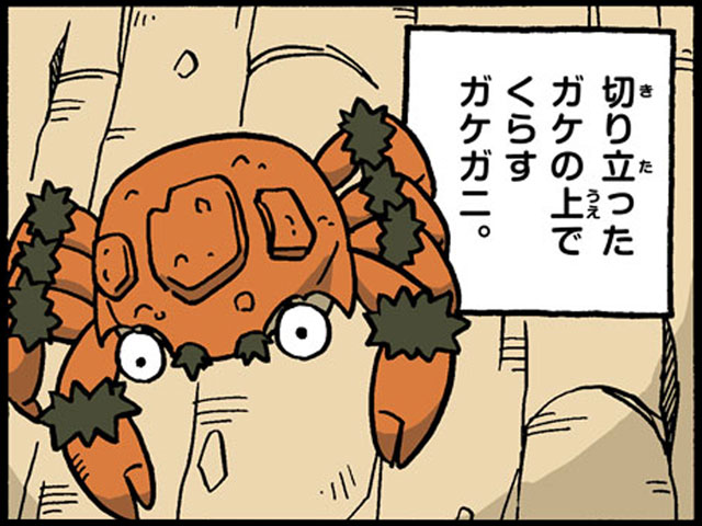 オレにまかせろ！（ガケガニ）｜ポケモンだいすきクラブ