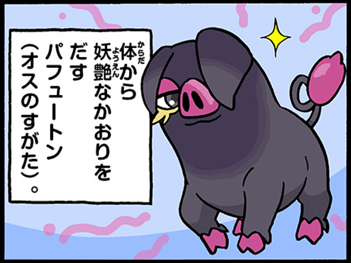 ポケモンだいすきクラブ