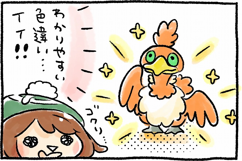 違い 色 ル ガラ マタドガス