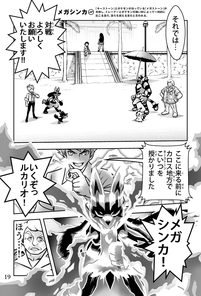 だいすき ポケモンバトル ポケモンだいすきクラブ だいすき ポケモンバトル ポケモンだいすきクラブ