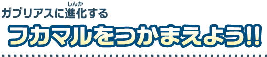 ガブリアスに進化するフカマルをつかまえよう！