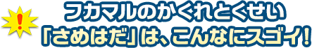 フカマルのかくれとくせい「さめはだ」はこんなにスゴい！