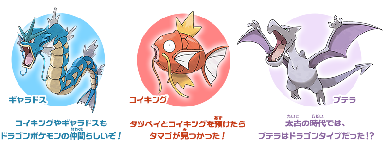 ドラゴン使いに聞く 後編 燃えよ ドラゴンタイプ ポケモンだいすきクラブ