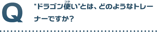 ドラゴン使いとはどのようなトレーナーですか？