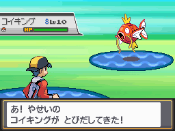 つりびとに聞く ポケモンつり入門 I Love コイキングさん ポケモンだいすきクラブ