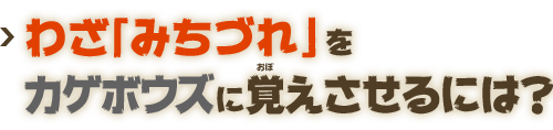 わざ「みちづれ」をカゲボウズに覚えさせるには？