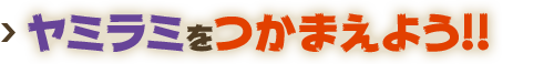 ヤミラミをつかまえよう!!