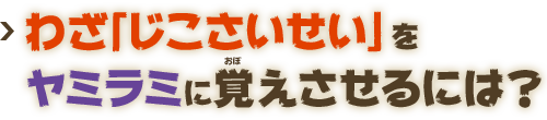 わざ「じこさいせい」をヤミラミに覚えさせるには？