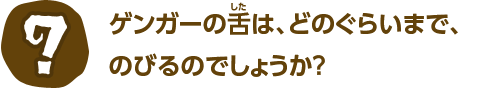 ゲンガーの舌は、どのぐらいまで、のびるのでしょうか？