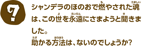 シャンデラのほのおで燃やされた魂は、この世を永遠にさまようと聞きました。助かる方法は、ないのでしょうか？