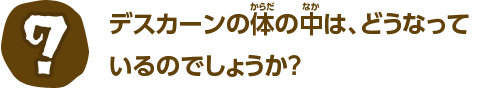 デスカーンの体の中は、どうなっているのでしょうか？