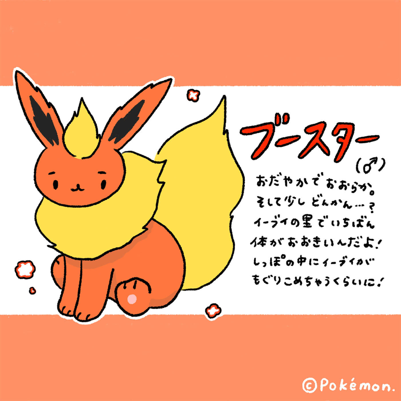 ぷろじぇくといーぶいだよ プロジェクトイーブイ ポケモン