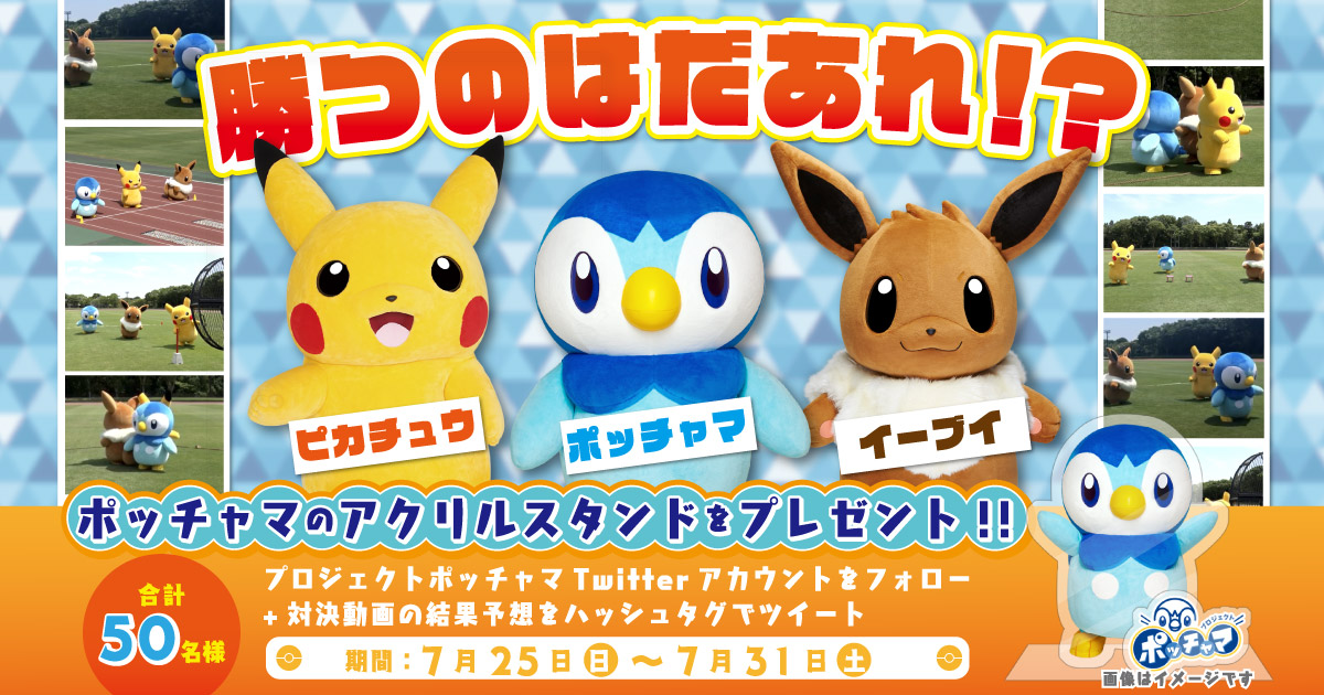 全5種目のしんけん勝負 ポッチャマvsピカチュウvsイーブイ勝つのはだあれ プロジェクトポッチャマ 全5種目のしんけん勝負 ポッチャマvsピカチュウvsイーブイ勝つのはだあれ プロジェクトポッチャマ