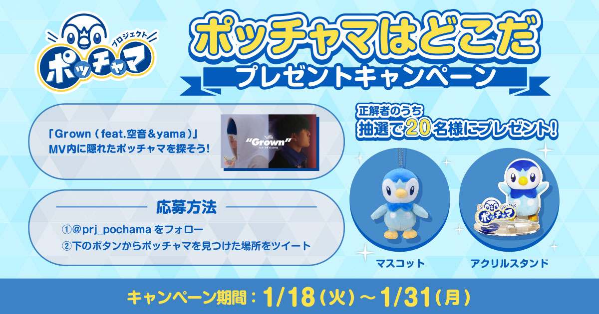 ポッチャマはどこだ プレゼントキャンペーン | プロジェクトポッチャマ