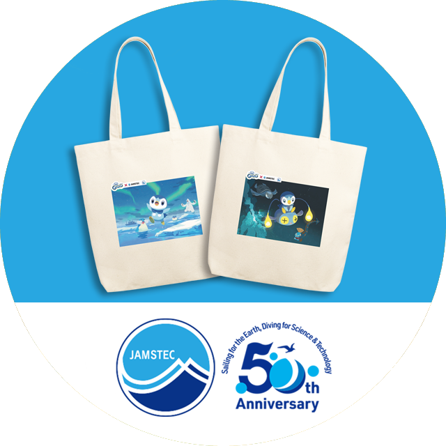 フォロー＆RTキャンペーン