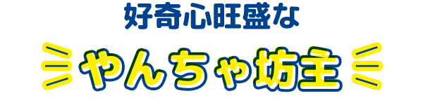 好奇心旺盛な やんちゃ坊主