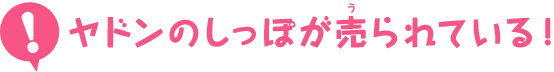 ヤドンのしっぽが売られている！