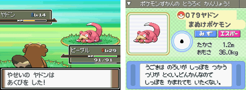 ゲームで見るヤドン ヤドンパラダイス ポケモンだいすきクラブ