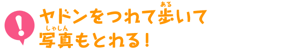 ヤドンを連れて歩いて写真もとれる！