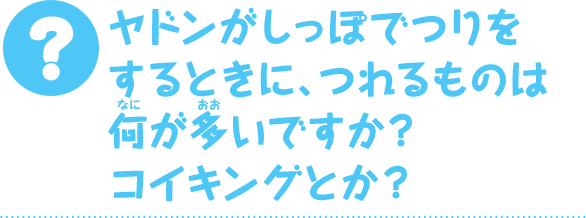 ヤドンがしっぽでつりをするときに、つれるものは何が多いですか？　コイキングとか？