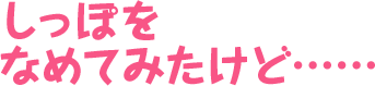 しっぽをなめてみたけど……