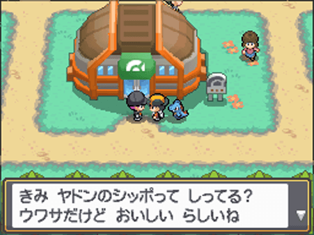 ヤドン調査レポート ヤドンパラダイス ポケモンだいすきクラブ